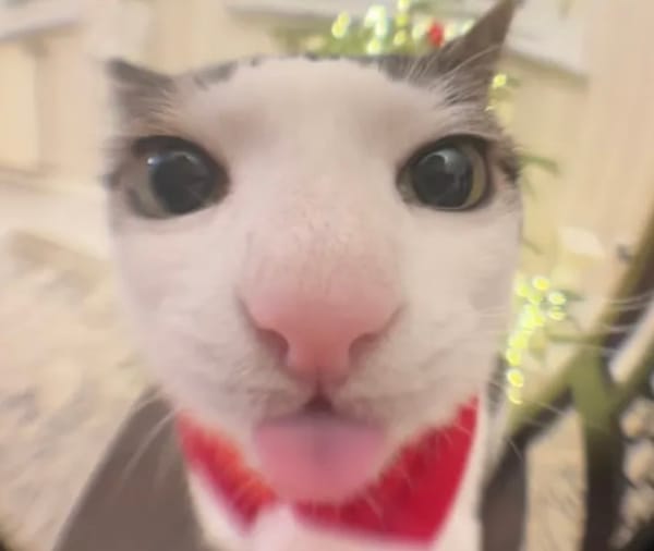 charles